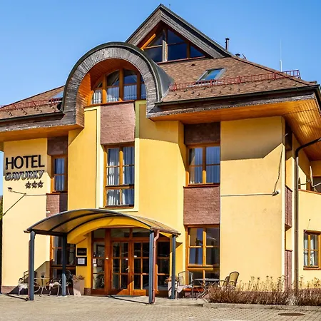 Gavurky Hotel 3*