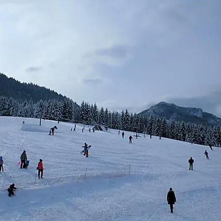 فندق Garni Gavurky 3*