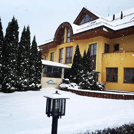 فندق Garni Gavurky 3*