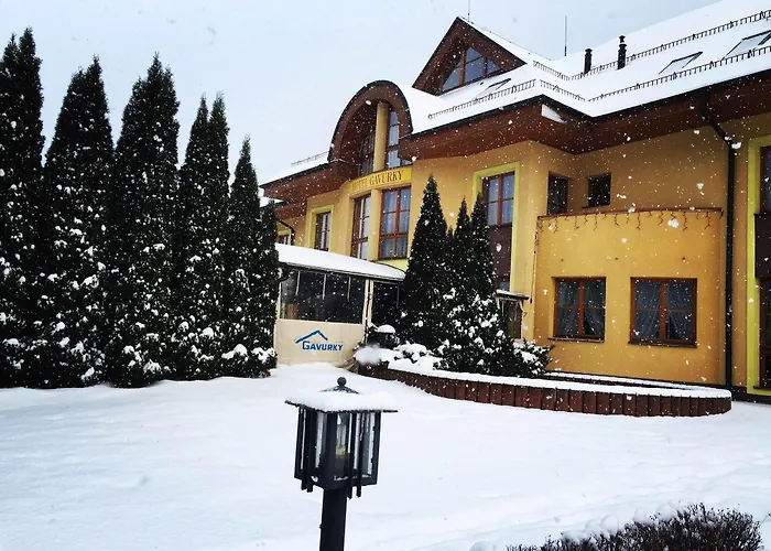 Ξενοδοχείο Garni Gavurky 3*